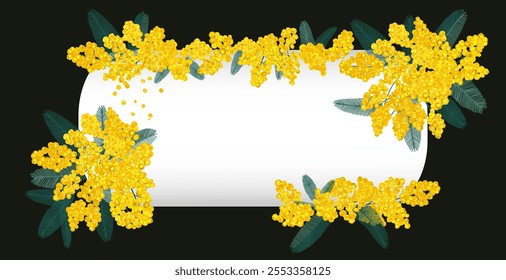 Mimosa flowers blossom floral frame border, background, wallpaper, template, layout for text. Spring yellow flowers frame  dark background