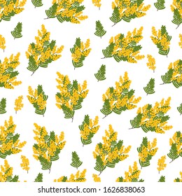 Mimosa flowers with branches and leaves on white background. Seamless pattern. Spring yellow flowers. Vector illustration.