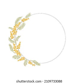 Mimosa hand drawn flower frame vector illustration isolated on white. Vintage Romantic spring floral round frame. Botanical floral arrangement for Happy Easter design.