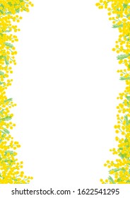 Mimosa hand drawn vector frame / Vertical position