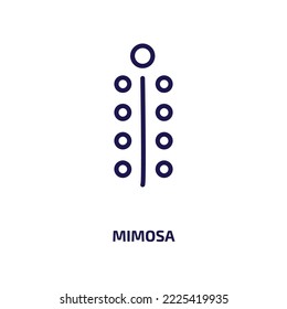 mimosa icon from nature collection. Thin linear mimosa, ice, bar outline icon isolated on white background. Line vector mimosa sign, symbol for web and mobile