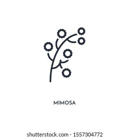 mimosa icon. simple element illustration. isolated trendy filled mimosa icon on white background. can be used for web, mobile, ui.