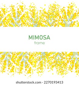 Mimosa motif frame, wallpaper illustration. Vector illustration