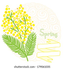 Mimosa spring background. 