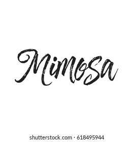 mimosa, text design. Vector calligraphy. Typography poster. Usable as background.