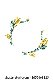 Mimosa twigs are arranged in a circle