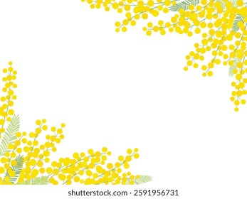 Mimosa vector illustration frame material