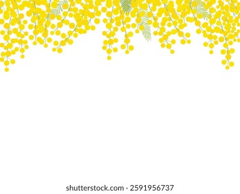 Mimosa vector illustration frame material