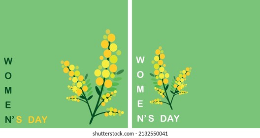 Mimosa  women's day 8th march. Squared Post Template design