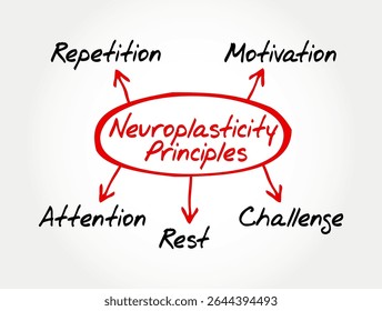 Ilustração do mapa mental dos Princípios de Neuroplasticidade apresentando conceitos-chave como Repetição, Motivação, Atenção, Desafio e Descanso. Ideal para uso em educação, medicina, psicologia