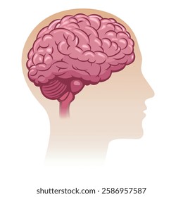 Mind silhouette. Side view of human head with brain inside isolated vector illustration