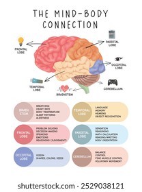 The Mind-Body Connection - Gráfico Ilustrado de Anatomia Cerebral. Cartaz educacional ilustrando regiões cerebrais e suas funções, perfeito para escolas, consultórios médicos e ambientes de aprendizagem