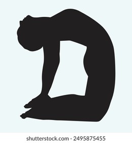 Mindful Movement Beautiful Yoga Silhouettes and Poses