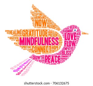 Mindfulness word cloud on a white background. 