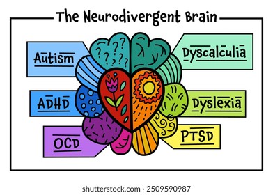 Minds of all kinds. Human mind, experience diversity. Neurodiversity, autism acceptance. Differences in personality characteristics. An inclusive, understanding society. Colorful vector illustration