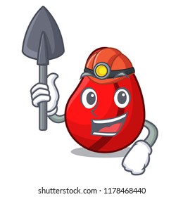 Miner cola nut fruits isolated on cartoon