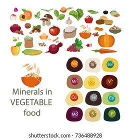 Minerals in plant foods. Minerals and organic plant products. Healthy Eating