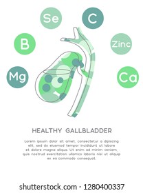 Minerals and vitamins for healthy gallbladder. Illustration of vitamins B, C, Ca, Zinc, Mg, Se  in a rounded scheme. Abstract vector banner with the place for your text.