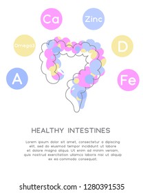 Minerals and vitamins for healthy intestines. Illustration of vitamins A, D, Fe, Ca, Zinc and Omega 3  in a rounded scheme. Abstract vector banner with the place for your text.