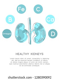 Minerals and vitamins for healthy kidneys. Illustration of vitamins C, Fe, D, E, Zinc and Omega 3  in a rounded scheme. Abstract vector banner with the place for your text.