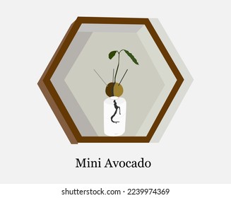 Mini Avocado plant Vector illustration design 4