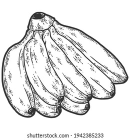 Mini bananas. Sketch scratch board imitation. Black and white.