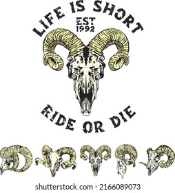 mini bundle goat skull vintage illustration