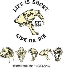 mini bundle sabertooth tiger skull vintage illustration