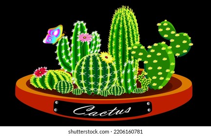 A Mini Cactus Garden On Tray