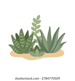 Mini cactus and succulent group desert garden flora ground asset flat vector illustration