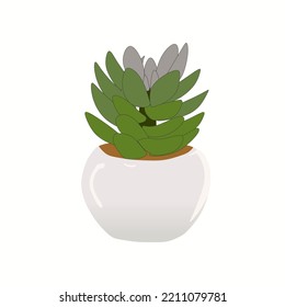 Mini Cactus, Succulent Plant Artificial in White Ceramic Pots, vector illustration in trendy flat cartoon style, isolated on white background. for Home Decoration. Suitable for many purposes.
