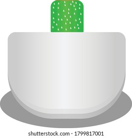 mini cactus in a white pot