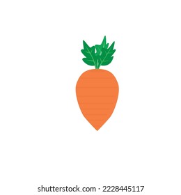 mini carrot illustration isolated in white background