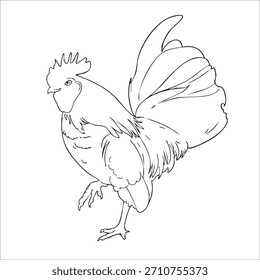 mini chicken vector illustrations in outline design styles