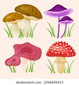 Mini collection of detailed mushrooms, porcini, amanita, russula. Mycelium. Set of autumn forest mushrooms in cartoon style isolated.