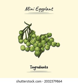 Mini Eggplant Illustration Sketch And Vector Style. Good to use for restaurant menu, Food recipe book and food ingredients content.