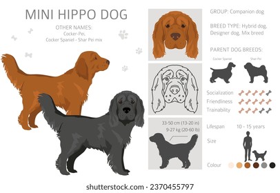 Mini Hippo clipart. Shar Pei - Cocker Spaniel mix. Different coat colors set.  Vector illustration