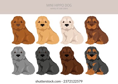 Mini Hippo clipart. Shar Pei - Cocker Spaniel mix. Different coat colors set.  Vector illustration