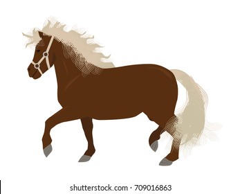 Mini Horse Or Pony In Vector Isolated On White Background