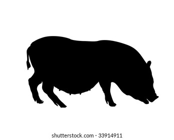 mini pig silhouette