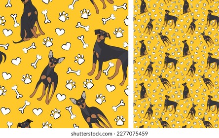 Mini Pinscher dog on a playful yellow background with bones and paws. Funky, colorful vibe, vibrant palette. Simple, clean, modern texture. Summer seamless pattern with dogs. Birthday present. Love.