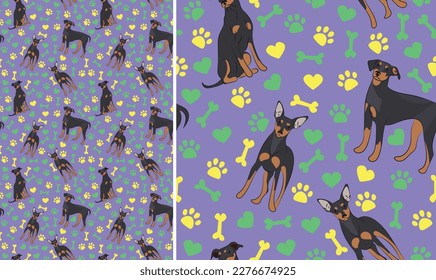 Mini Pinscher dogs on a playful violet background with bones, hearts, paws. Funky, colorful vibe, vibrant palette. Simple, clean, modern texture. Summer seamless pattern with dogs. Birthday present.