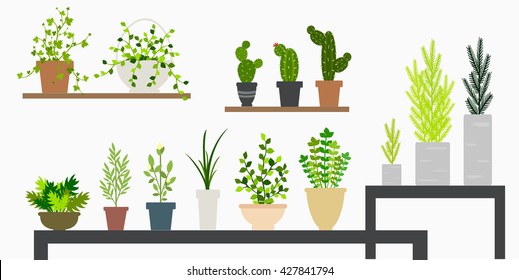 miniplantas