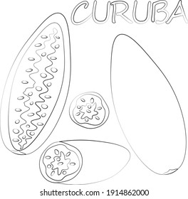Minijuego con curuba de fruta exótica. Dibujar ilustración en blanco y negro