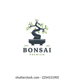 mini small plant on pot for japanese bonsai logo design