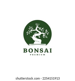 mini small plant on pot for japanese bonsai logo design 2