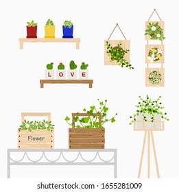 mini and small plants ,flowerpots