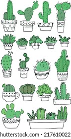 Mini Succulents in pots set 