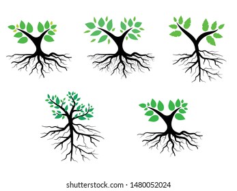 Mini Trees with green leaves look beautiful and refreshing.Tree and roots LOGO style.