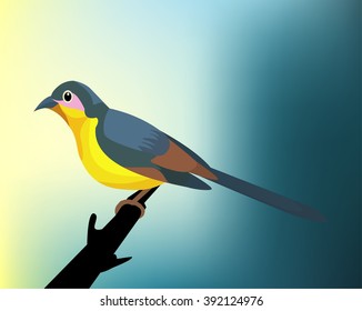 Mini vet Birds,
Mini vet Birds Sitting On the Tree  Branch,       All elements are in separate layers co lour can be changed easily.     